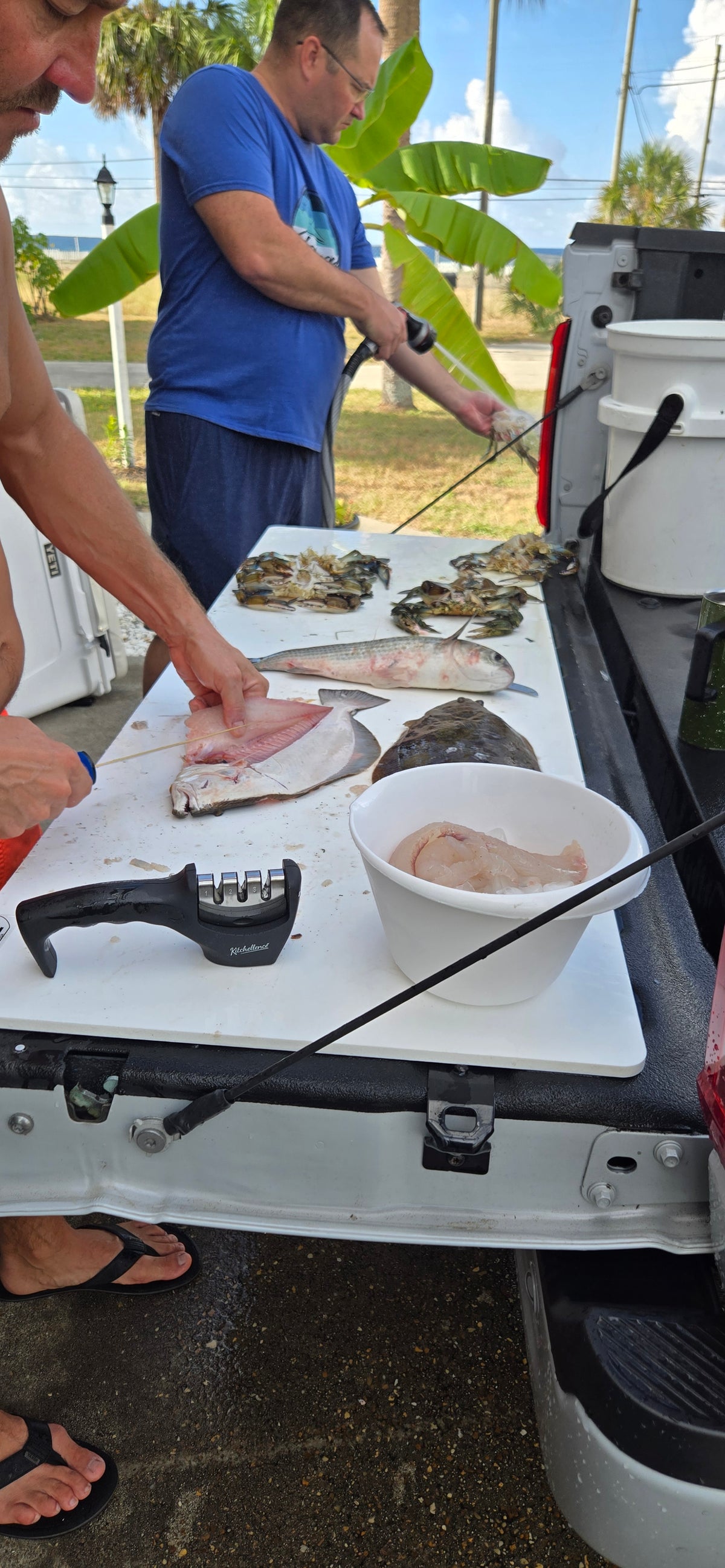 People cleaning fish outdoors using a FieldMate Board